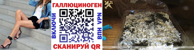 купить наркотик  Бузулук  Псилоцибиновые грибы Psilocybine cubensis 